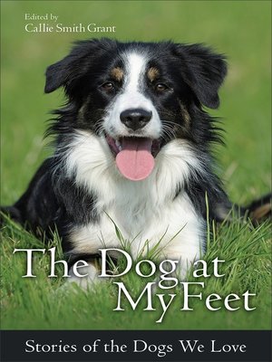 cover image of The Dog at My Feet